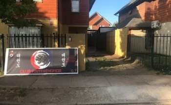 Asociación Taekwondo Panthehonor