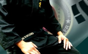 Sistema de entrenamiento en Arte Marcial Mudojangringler