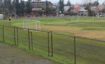 National Institute Stadium