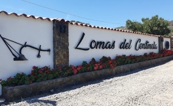 Piscinas Lomas Del Centinela