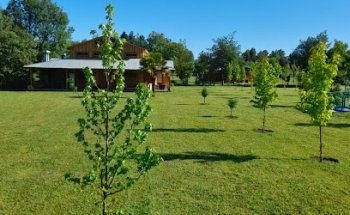 Piscina Espacio Verde