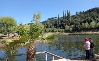 Municipal swimming pool Curanilahue
