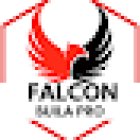 Falcon Buila PRO