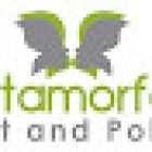 Metamorfosis fit and pole