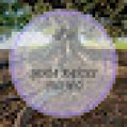 Yoga Raíces Curicó