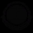 Sivananda Yoga Vina del Mar