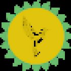 Maria Colibri Yoga y Terapias Complementarias