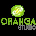 Oranga Studio - Kinesiología y Pilates Concepción