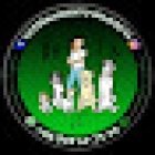 Entrenamiento de Perros WilDogCl Antofagasta