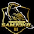 Taekwondo Samjoko Ki