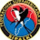 Balmaceda Arte Joven