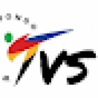 Taekwondo Valencia School Chile