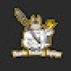 Muscle Factory Copiapó