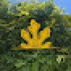 Estancia la Higuera - Centro de Yoga