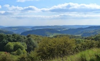 Personal Training Wolff