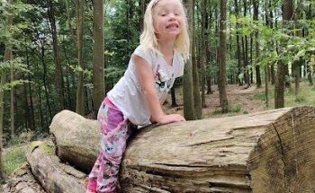 Skovbanen, Nørreskoven