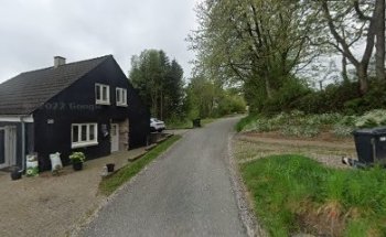 Hundetræning