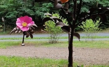 Startsted MTB blå i Vestskoven