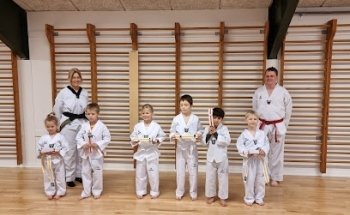 Herning Judo & Jiu-Jitsu Klub