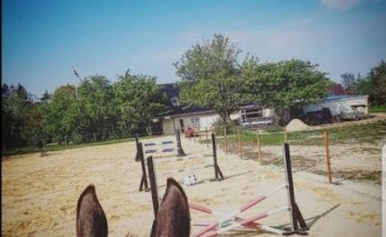 Melanie og Lambada Showjumping