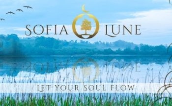 Kranio sakral terapi