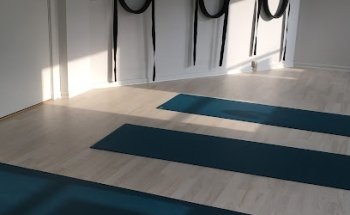 Ananda Yoga School in Silkeborg