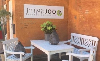 Stine Joo - the body in motion