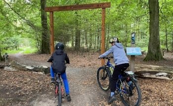 MTB spor Sønderskoven