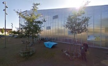 Capoeira Senzala Amager