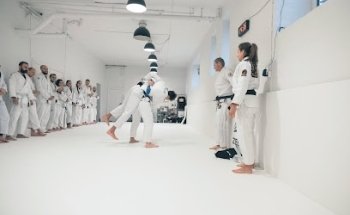 Hive Brazilian Jiu-Jitsu