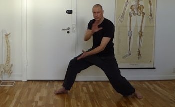 Pencak Silat Setia Hati Anoman Copenhagen