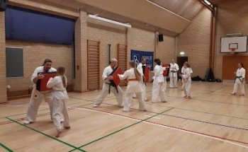RKOS - Roskilde Karate Og Selvforsvar