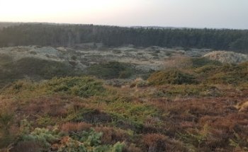 Kollerup Plantage MTB track parking