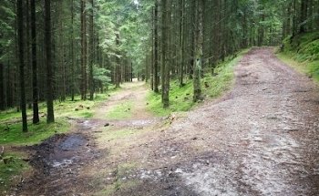 MTB Track - Danmarks Tag