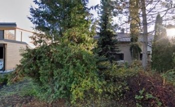 Turvesuon pallokentät