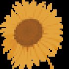 Liikuntastudio Hyvä Olo