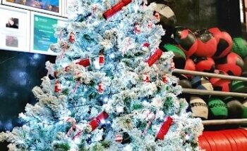 Mullingar Gymnastics Club