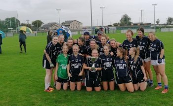 Hawkfield Gaa Pitches