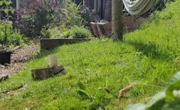 Avondale Retreat (Space To Evolve)