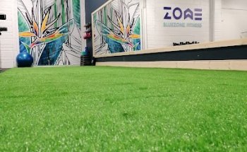 BlueZone Fitness