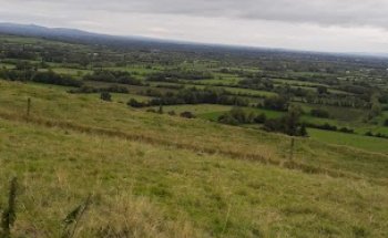 O'Brien Fitness (OBF)