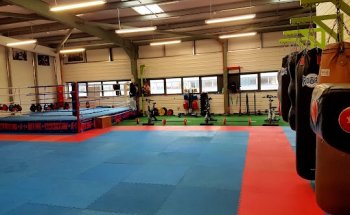 CELTIC EAGLE'S GALWAY