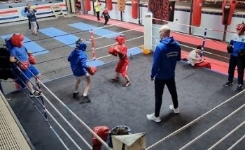 GOLDEN COBRA BOXING CLUB