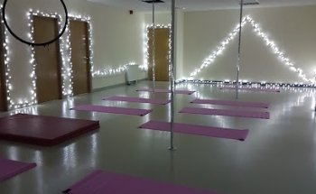 Lioness Aerial Fitness Waterford