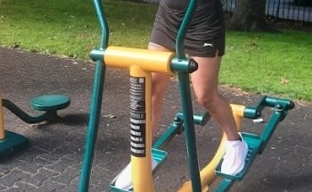 Open Gym Pull Up bars