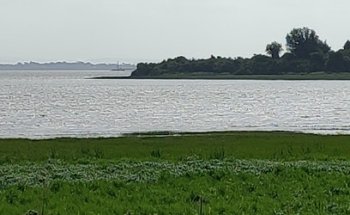 Shannon Loop Trailhead