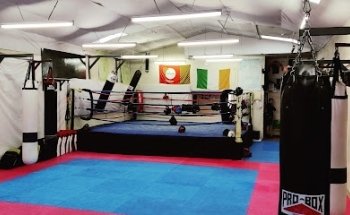 Top Pro Kickboxing Carlow