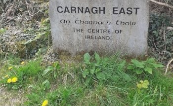 Carna Dog Agility and obedience training