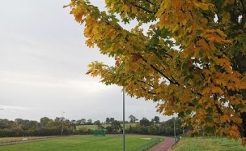 Shoreline running track