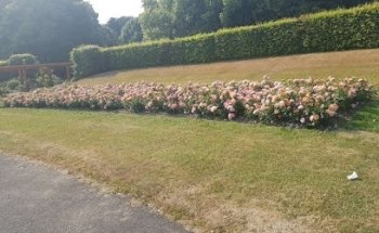 Clontarf GAA pitches